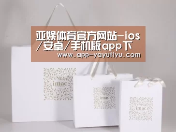 项目名称十一