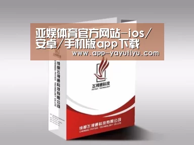 项目名称十三